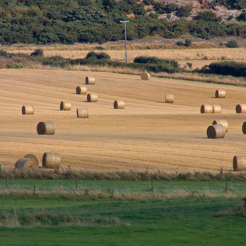 Norfolk Coast - 16 August 2009