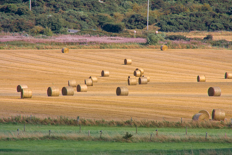 Norfolk Coast - 16 August 2009