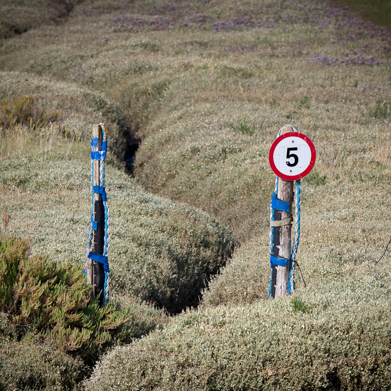 Norfolk Coast - 16 August 2009