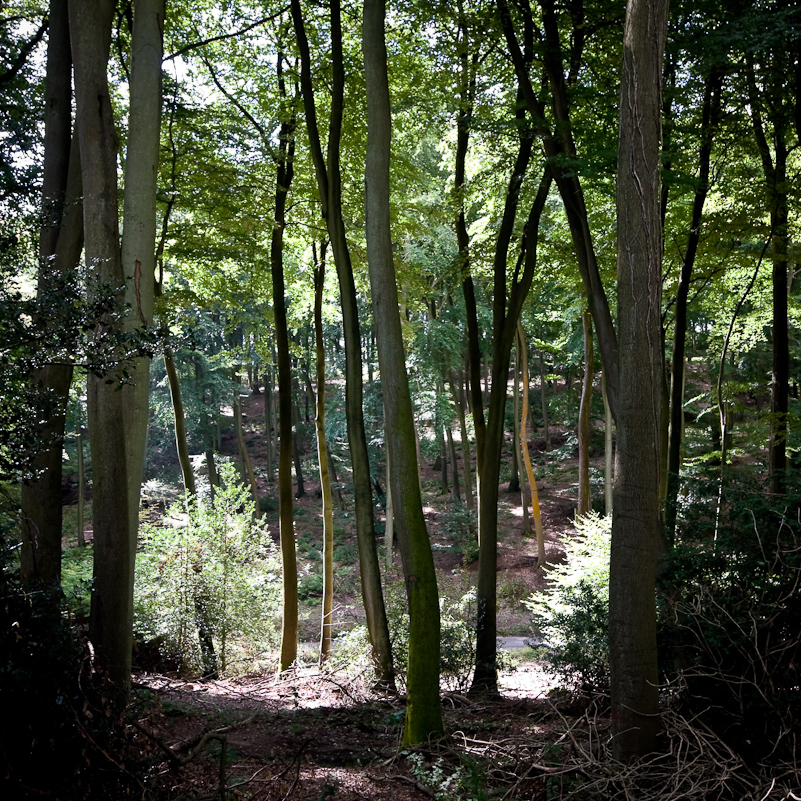 Warburg Reserve - 23 August 2009