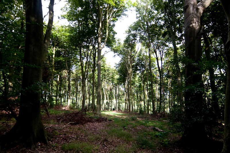 Warburg Reserve - 23 August 2009