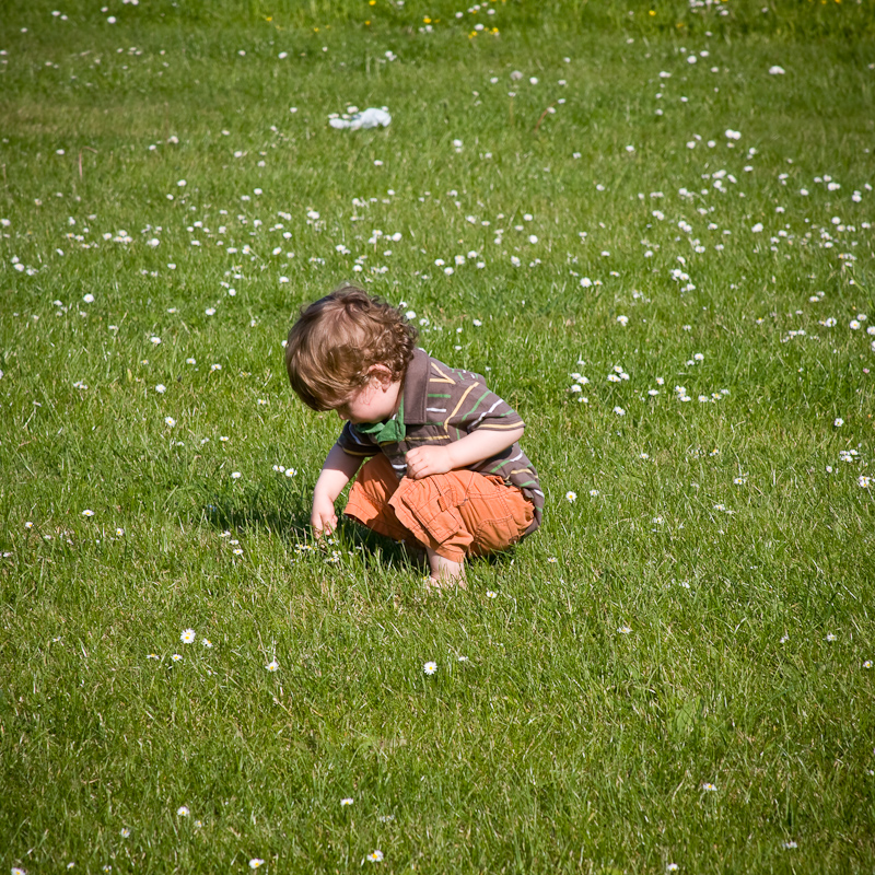 24 May 2009 - Henley-on-Thames