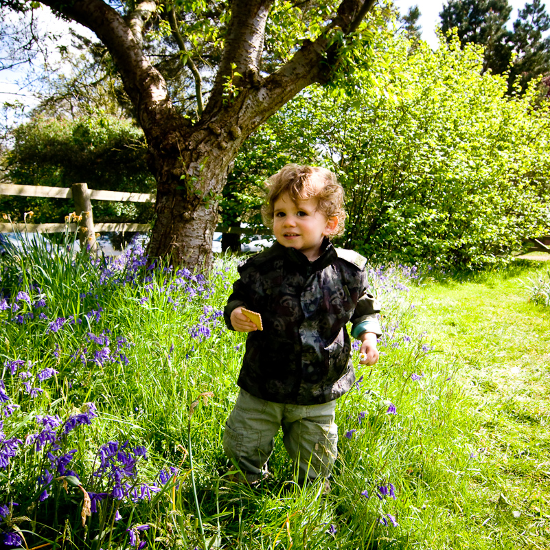 Greys Court - 25 April 2009