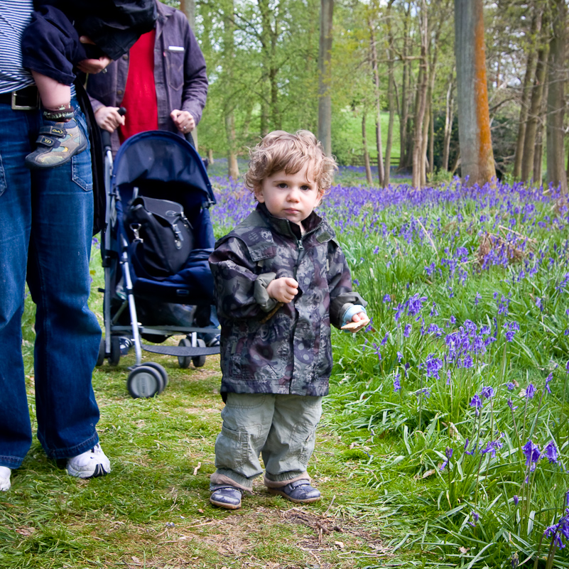 Greys Court - 25 April 2009