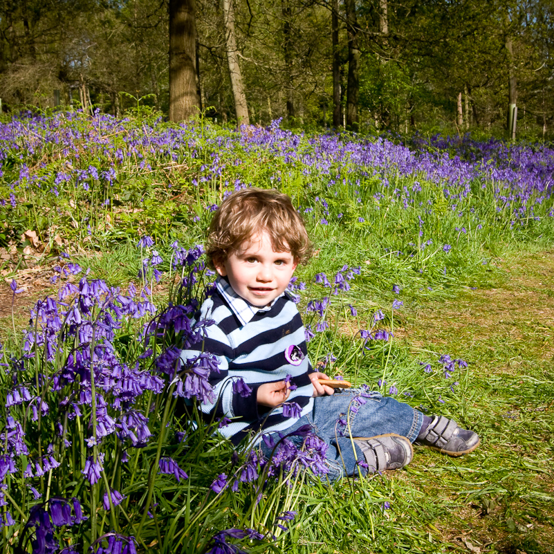 Greys Court - 26 April 2009