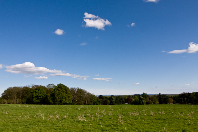 Greys Court - 26 April 2009