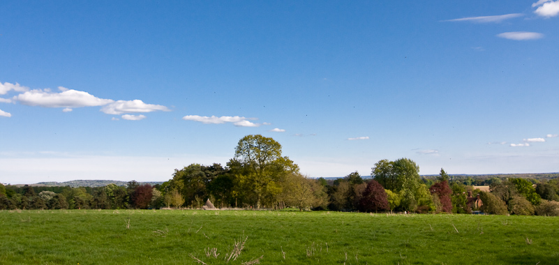 Greys Court - 26 April 2009