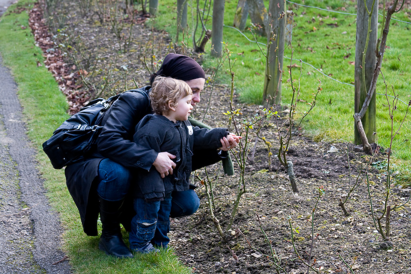 Dorchester - 27 February 2009