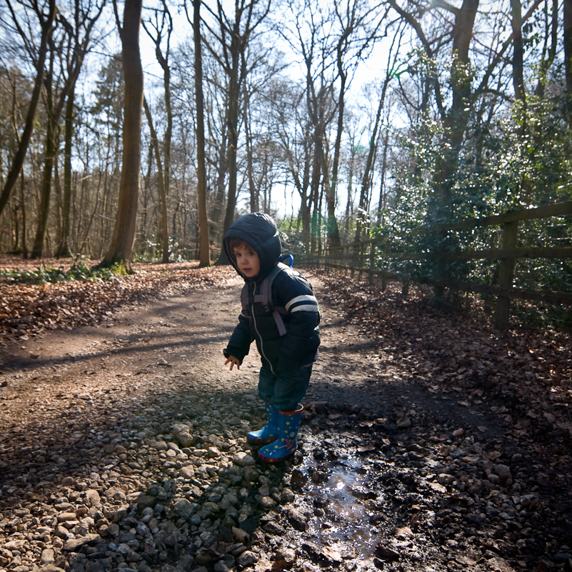 Harpsden Wood - 7 March 2010