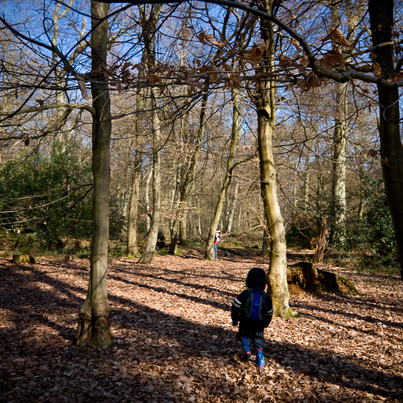 Harpsden Wood - 7 March 2010