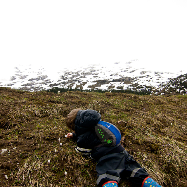 Bernese Oberland - 10 to 14 May 2010