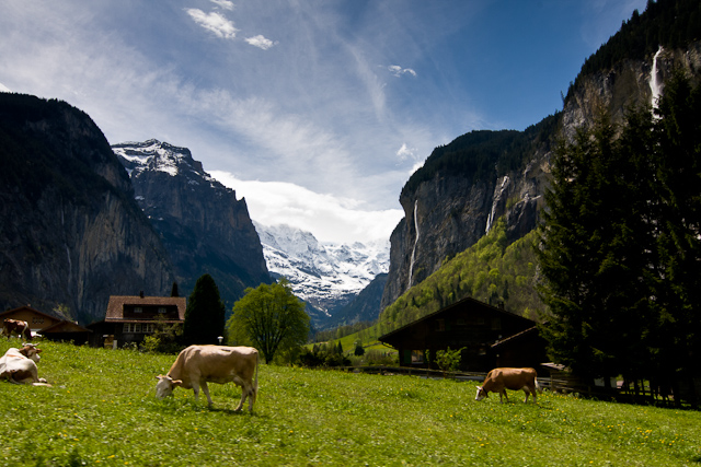 Bernese Oberland - 10 to 14 May 2010