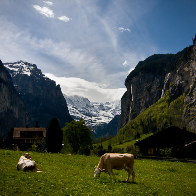 Bernese Oberland - 10 to 14 May 2010