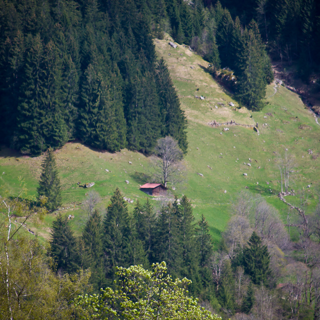 Bernese Oberland - 10 to 14 May 2010