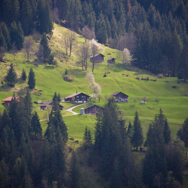 Bernese Oberland - 10 to 14 May 2010