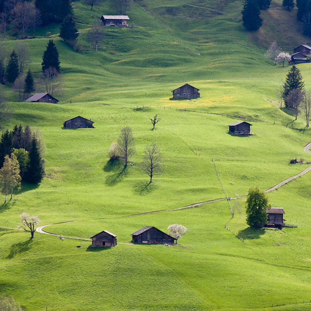 Bernese Oberland - 10 to 14 May 2010