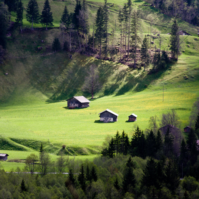 Bernese Oberland - 10 to 14 May 2010