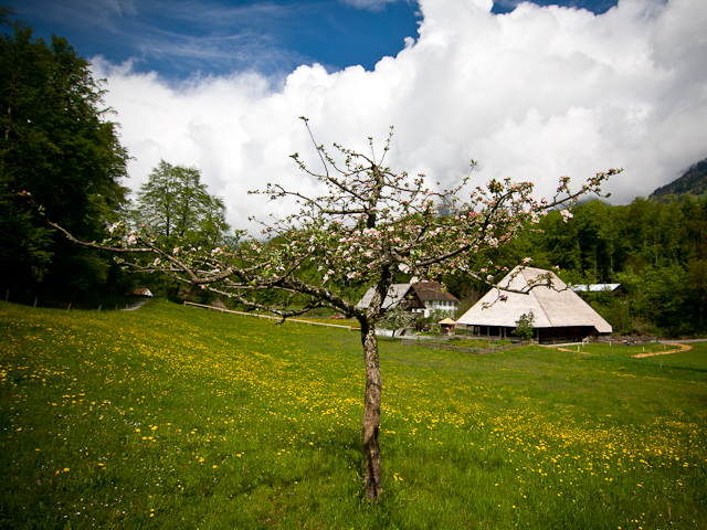 Bernese Oberland - 10 to 14 May 2010