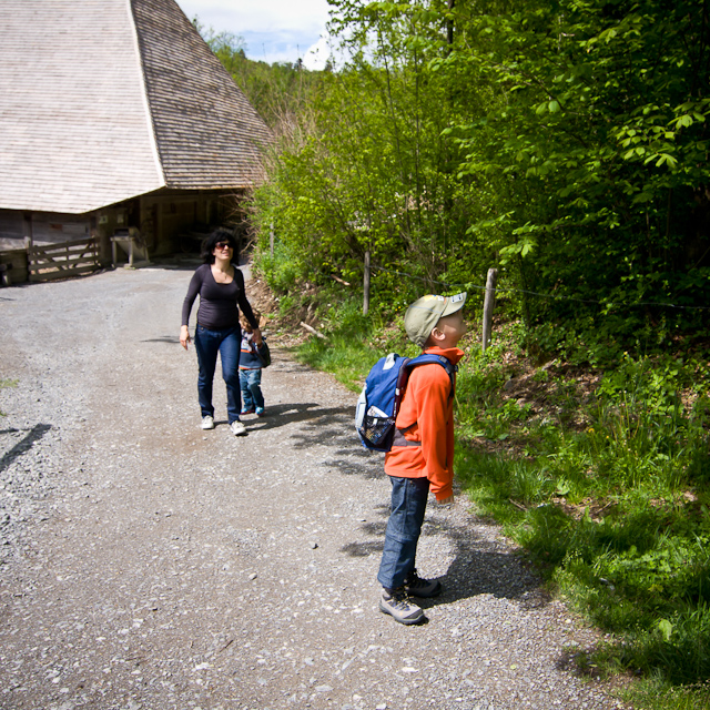 Bernese Oberland - 10 to 14 May 2010