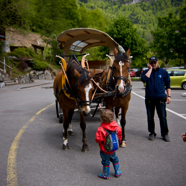 Bernese Oberland - 10 to 14 May 2010