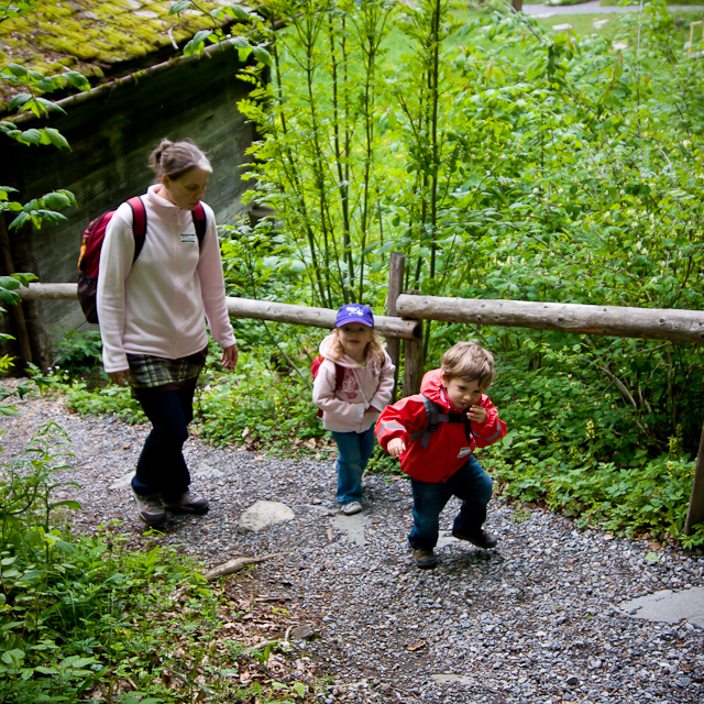 Bernese Oberland - 10 to 14 May 2010