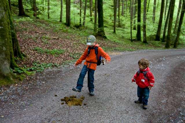 Bernese Oberland - 10 to 14 May 2010