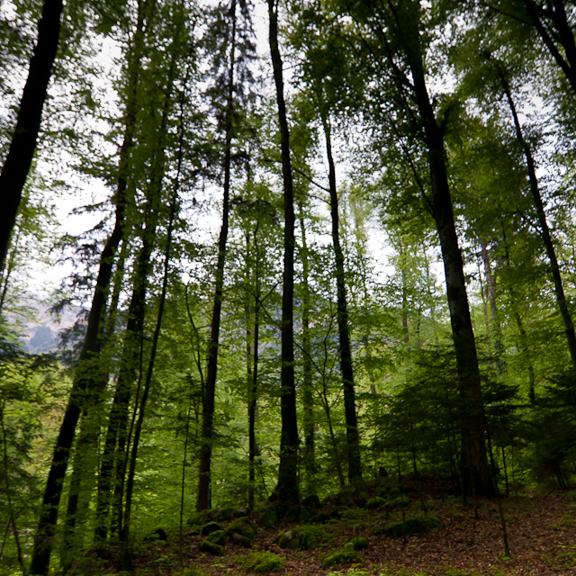 Bernese Oberland - 10 to 14 May 2010