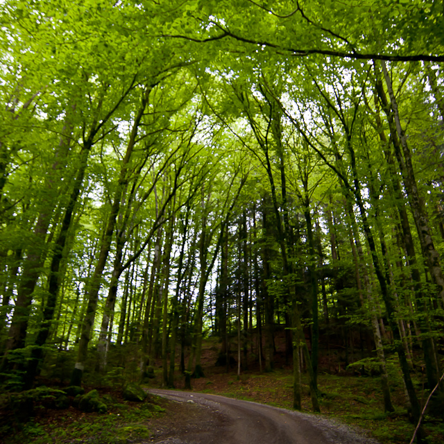 Bernese Oberland - 10 to 14 May 2010