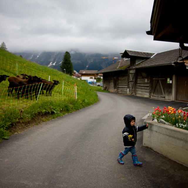 Bernese Oberland - 10 to 14 May 2010