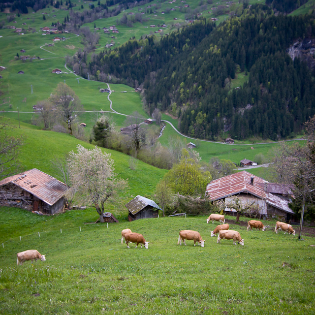 Bernese Oberland - 10 to 14 May 2010