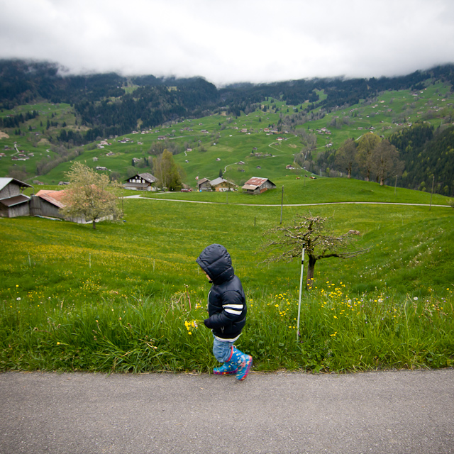 Bernese Oberland - 10 to 14 May 2010