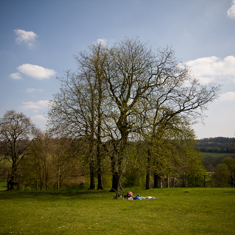 Hughenden Manor - 18 April 2010