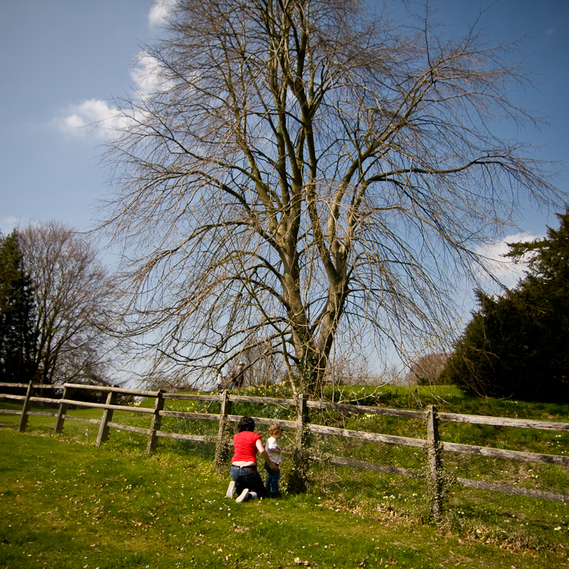 Hughenden Manor - 18 April 2010