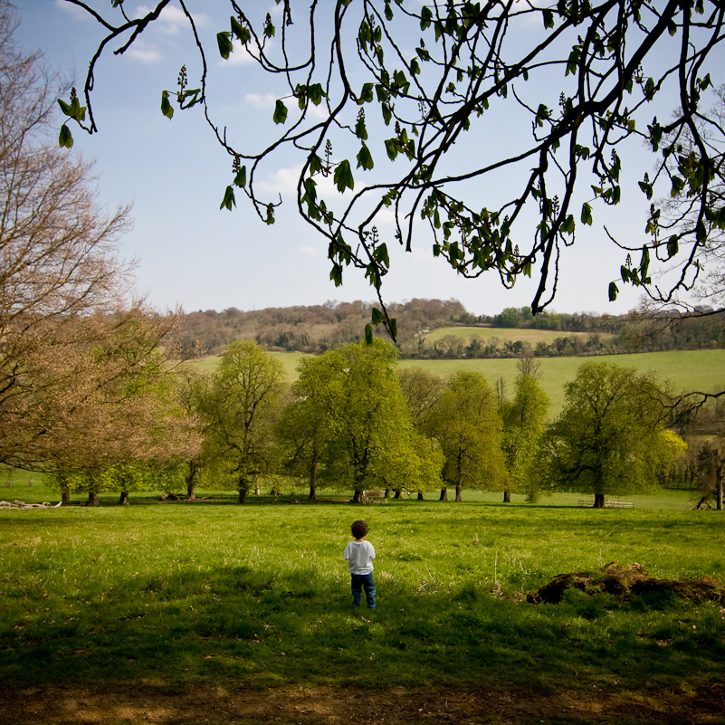 Hughenden Manor - 18 April 2010