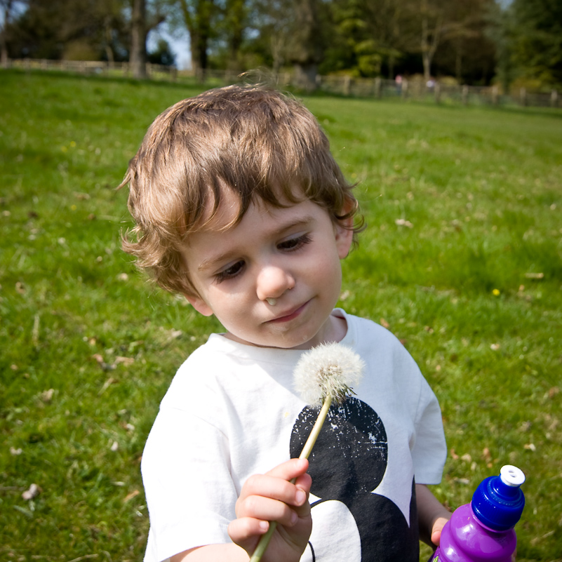 Hughenden Manor - 18 April 2010