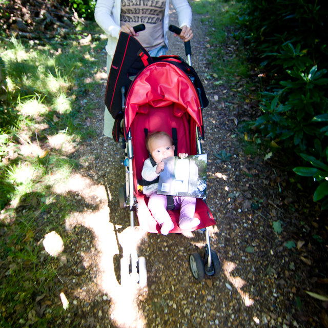 Dorset - 30 August 2010