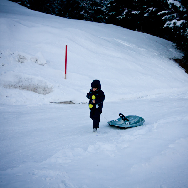 Leysin - 25 December 2010 to 2 January 2011