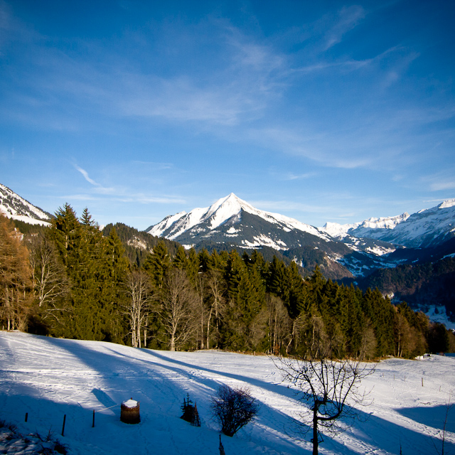 Leysin - 25 December 2010 to 2 January 2011