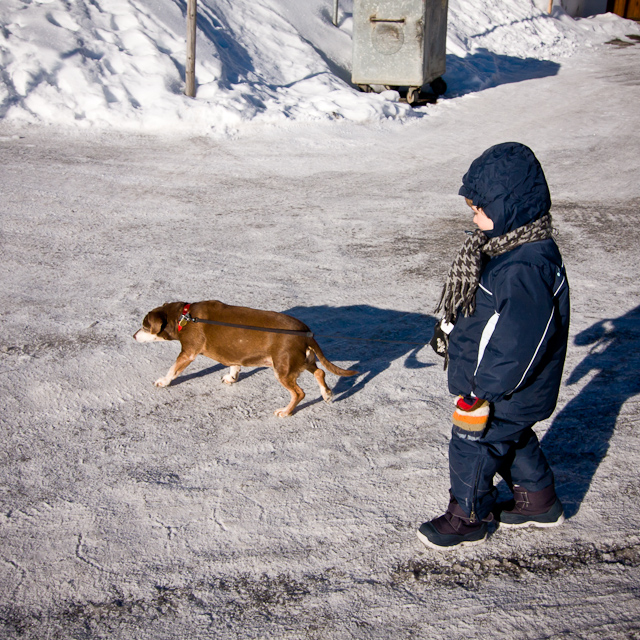 Leysin - 25 December 2010 to 2 January 2011