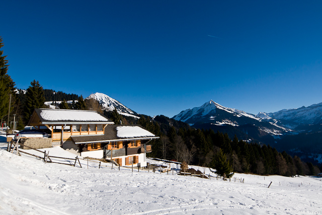 Leysin - 25 December 2010 to 2 January 2011