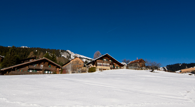 Leysin - 25 December 2010 to 2 January 2011