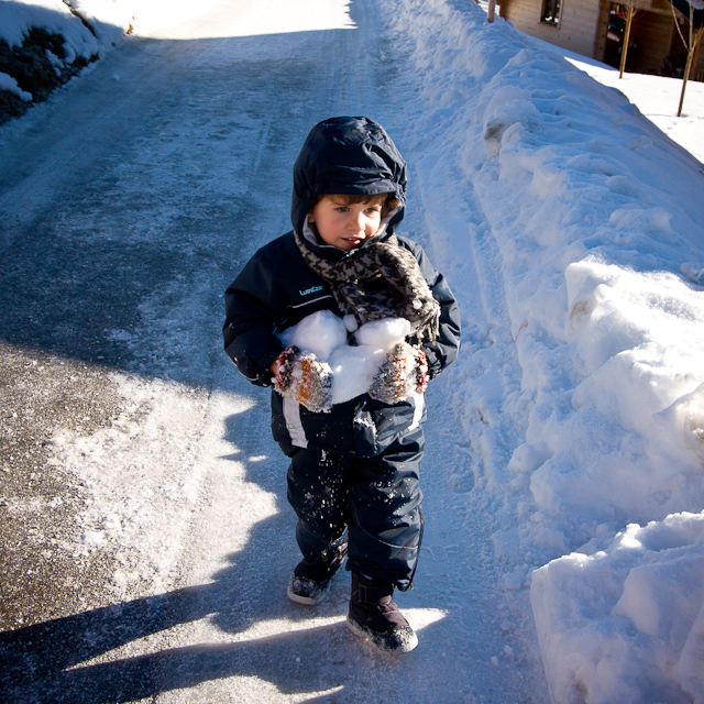 Leysin - 25 December 2010 to 2 January 2011