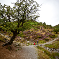 Church Stretton - 13 August 2011