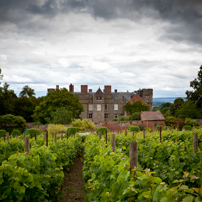 Croft Castle - 13 August 2011