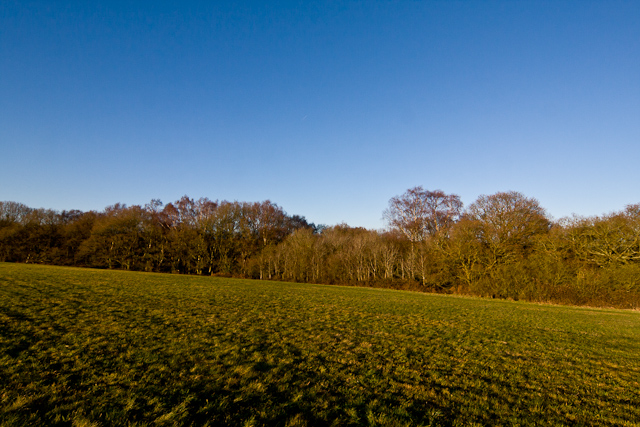 Maidensgrove - 09 January 2011