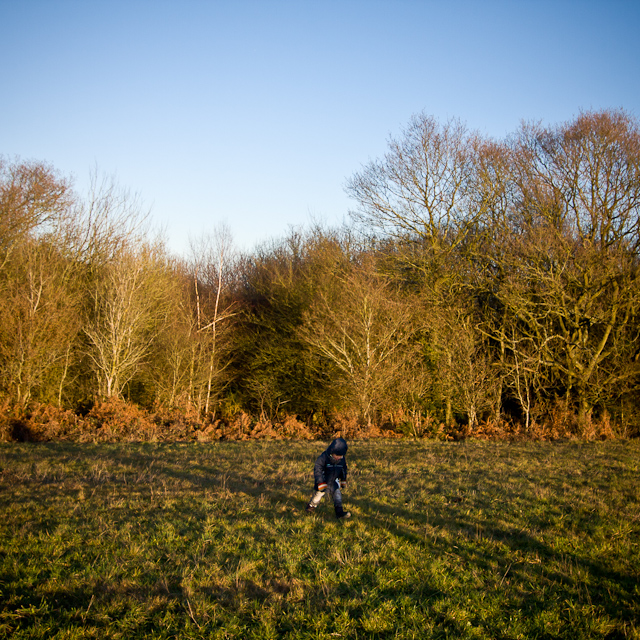 Maidensgrove - 09 January 2011