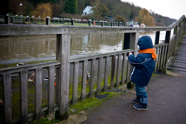 Henley-on-Thames - 10 January 2011