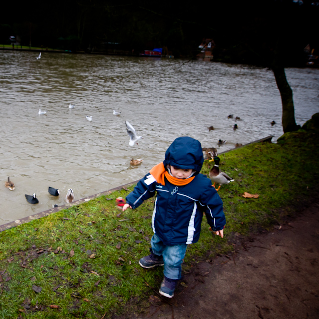 Henley-on-Thames - 10 January 2011