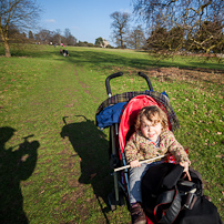 Ickworth House - 11 March 2012