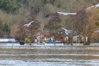 Henley-on-Thames - 26 December 2012